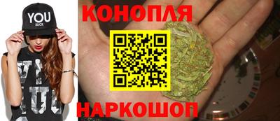 ешки Ставрополь